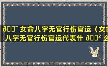 🐯 女命八字无官行伤官运（女命八字无官行伤官运代表什 🌲 么）